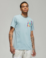 Футболка Nike Air Jordan Brand GFX SS DM3078-366