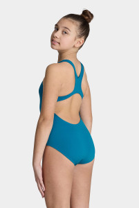 Купальник комплект Arena TEAM SWIMSUIT SWIM PRO SOLID 004762-600