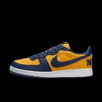Кросівки чоловічі NIKE Terminator Low Og Blue/Yellow FJ4206-700