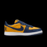 Кросівки чоловічі NIKE Terminator Low Og Blue/Yellow FJ4206-700