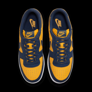 Кросівки чоловічі NIKE Terminator Low Og Blue/Yellow FJ4206-700