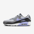 Кросівки чоловічі Nike Air Max 90 Grey/Black DM0029-014 Кросівки чоловічі Nike Air Max 90 Grey/Black DM0029-014