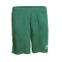 Шорти Select Pisa player shorts 624140-004