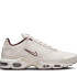 Кросівки NIKE AIR MAX PLUS PRM PHANTOM / BURGUNDY CRUSH HF3181-001