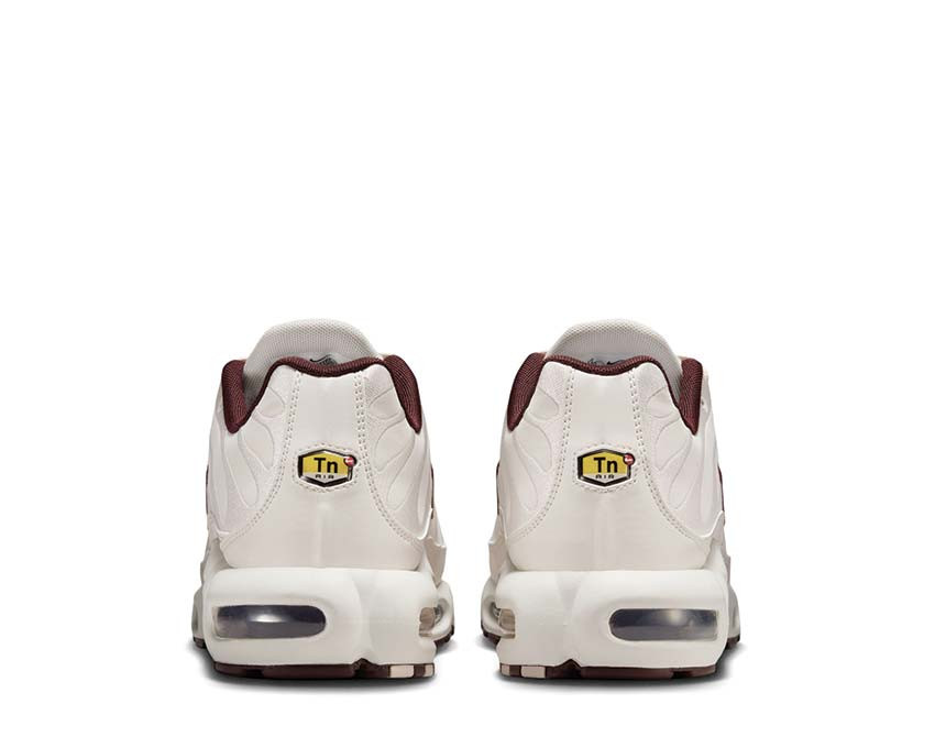 Кросівки NIKE AIR MAX PLUS PRM PHANTOM / BURGUNDY CRUSH HF3181-001