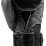 Рукавиці боксерські EVERLAST POWERLOCK 2 PRO TRAINING H&L GLOVE чорний Уні 16 унцій P00002428