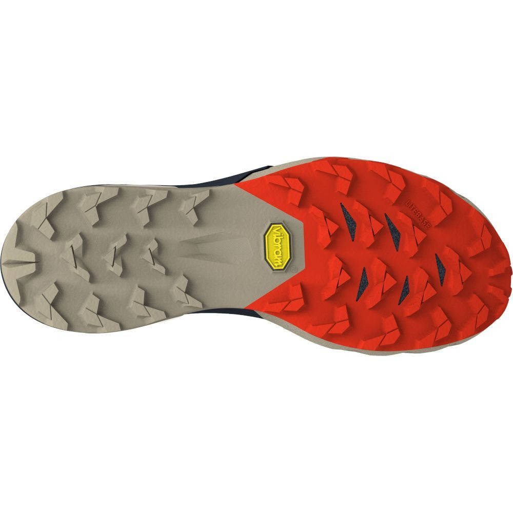 Кросівки Dynafit Alpine Pro 2 Mns 016.001.2358