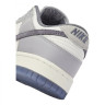 Кросівки NIKE DUNK LOW RETRO SE FJ4188-100