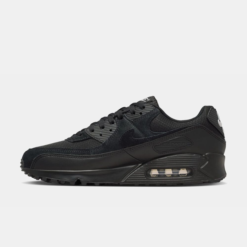 Кросівки Nike AIR MAX 90 DM0029-024
