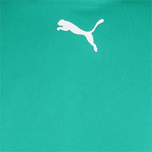 Футболка Puma teamRISE Jersey зелений Чол L 704932-05