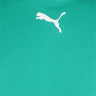 Футболка Puma teamRISE Jersey зелений Чол L 704932-05