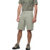 Шорти Salewa Fanes Hemp Light Shotrs Mns 013.012.1267