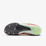 Кросівки Nike ZOOM RIVAL MULTI FZ9664-600