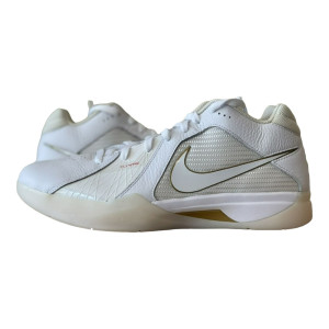 Кросівки Nike Zoom KD 3 DZ3009-100