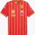 Футболка Puma SF Team Soccer  Jersey 763608-01