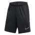 Шорти Nike Dri-FIT Academy 25 FZ9776-010