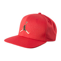 Бейсболка JORDAN PRO ELE INGOT CAP DC3680-687