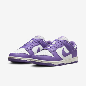 Кросівки жіночі Nike Dunk Low Next Nature (DD1873-108) DD1873-108
