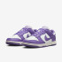 Кросівки жіночі Nike Dunk Low Next Nature (DD1873-108) DD1873-108