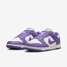 Кросівки жіночі Nike Dunk Low Next Nature (DD1873-108) DD1873-108