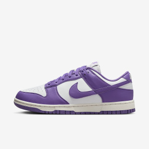Кросівки жіночі Nike Dunk Low Next Nature (DD1873-108) DD1873-108