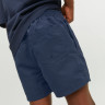 Шорти для плавання JPSTFIJI JJSWIM SPICELOGO LY SN JNR 12226262-Navy Blazer Jack&Jones 140 Темно-син 12226262-NAVY BLAZER