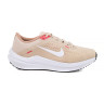 Кросівки Nike Winflo 10 Beige DV4023-100