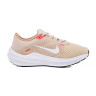 Кросівки Nike Winflo 10 Beige DV4023-100