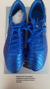 Бутси Nike LEGEND 10 ELITE FG (Клас А) DV4328-400-R