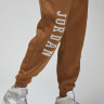 Штани Nike Jordan Essentials Holiday 281 FD7467-281