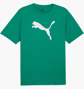 Футболка Puma teamRISE Logo Jersey Cotton 658705-05