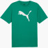 Футболка Puma teamRISE Logo Jersey Cotton 658705-05