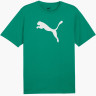 Футболка Puma teamRISE Logo Jersey Cotton 658705-05