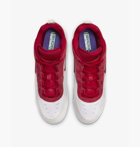 Кросівки Nike Air Max Ishod FB2393-100