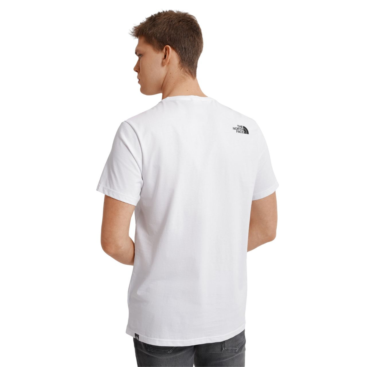Футболка The North Face Standard SS Tee NF0A4M7XFN41