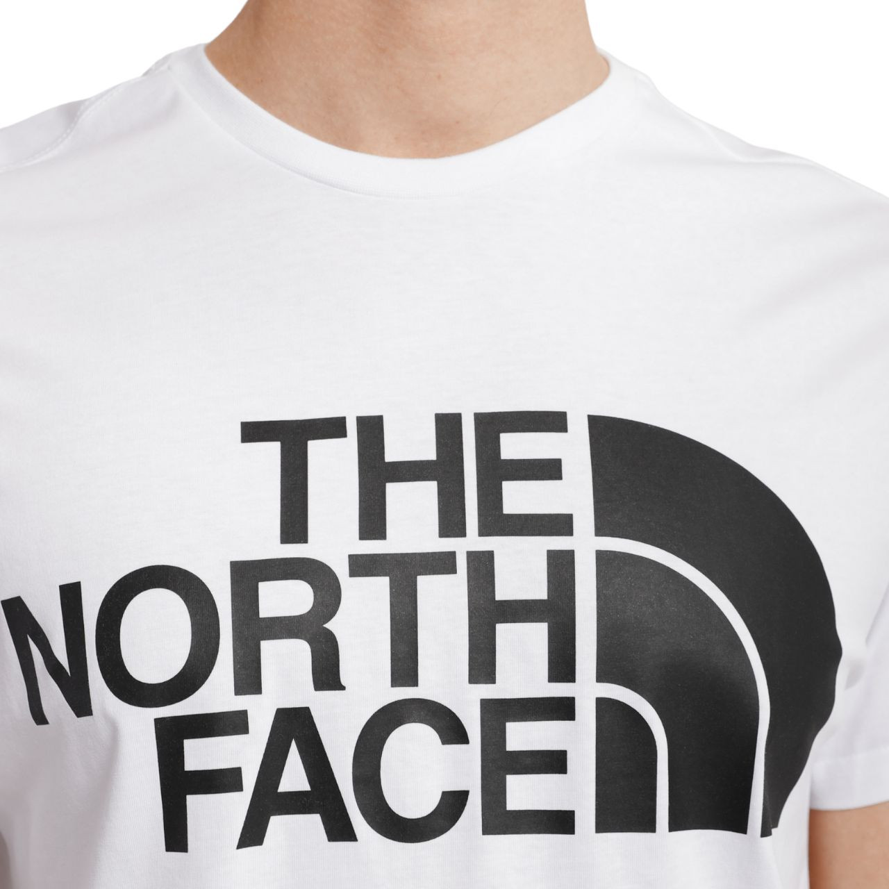 Футболка The North Face Standard SS Tee NF0A4M7XFN41