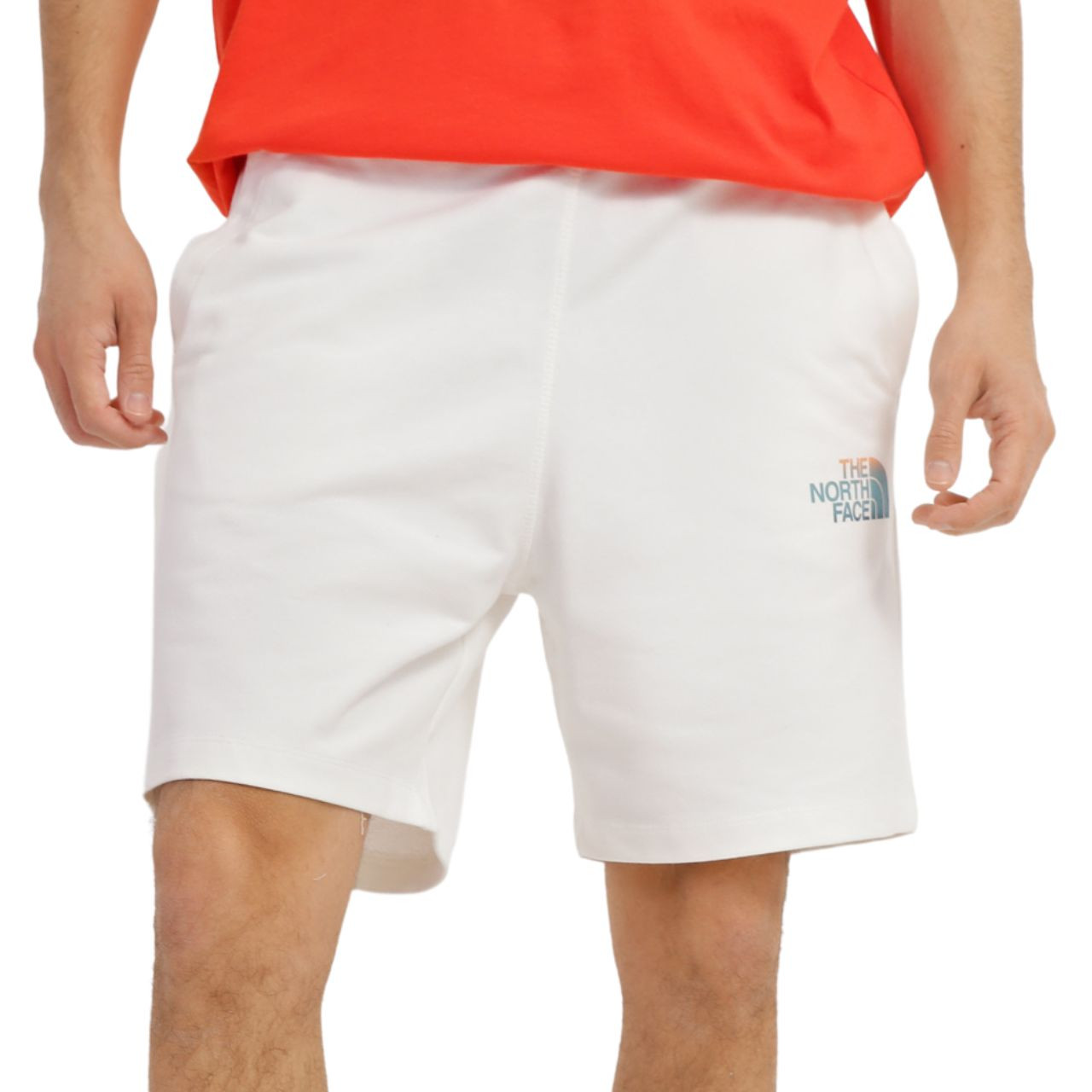 Шорти The North Face M D2 GRAPHIC SHORT NF0A83FRN3N1