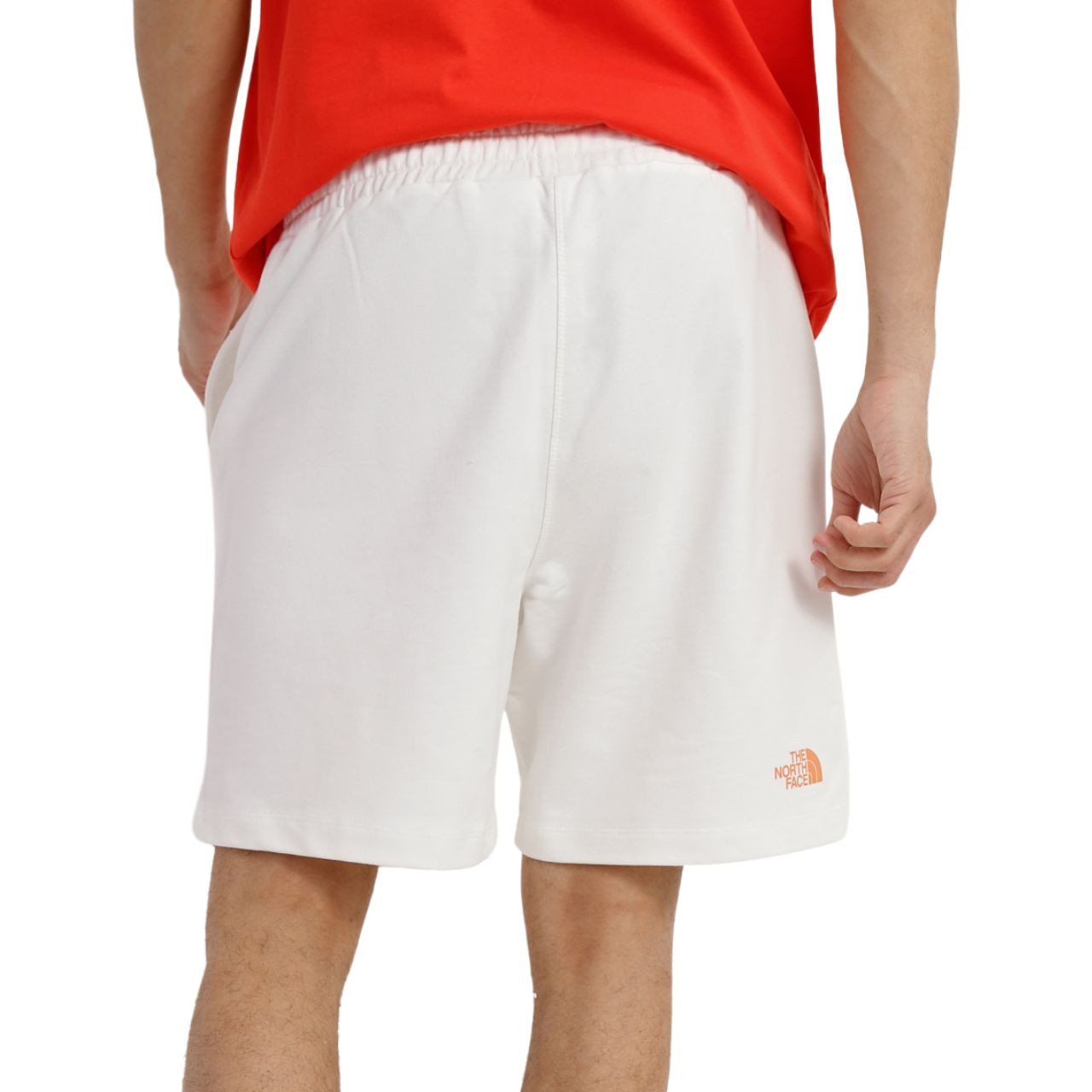 Шорти The North Face M D2 GRAPHIC SHORT NF0A83FRN3N1