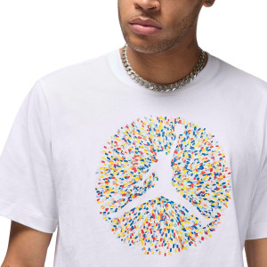 Футболка чоловіча Jordan FLT ESS POOL SS CREW FN6006-100