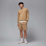 Світшот чоловічий Air Jordan Brooklyn Fleece Beige FV7293-257