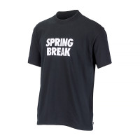 Футболка Nike M NK SB TEE SPRING BREAK DX9457-010