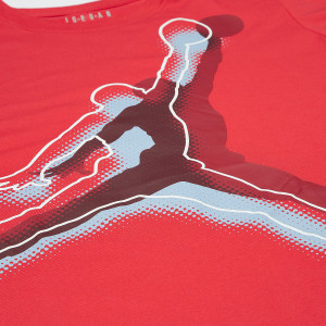 Футболка 95C977-R0F Jordan 95C977-R0F