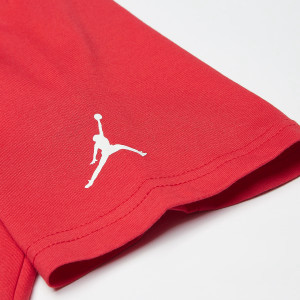Футболка 95C977-R0F Jordan 95C977-R0F
