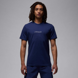 Футболка чоловіча Jordan Air (DM3182-411) DM3182-411