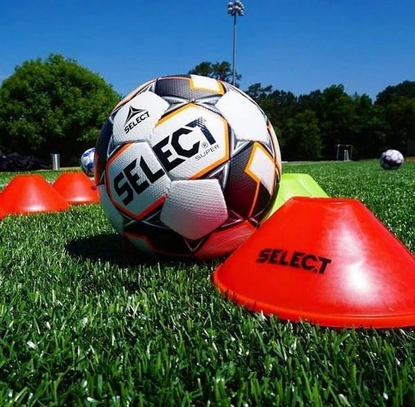 Кіл-маркер набір Select Marker Set 24 plastic holder (h 8см) жовтий, червоний OSFM 749500-024