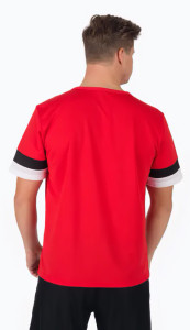 Футболка Puma teamRISE Jersey червоний Чол L 704932-01