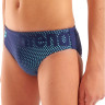 Плавки Arena DIM LIGHT SWIM BRIEFS 008148-708