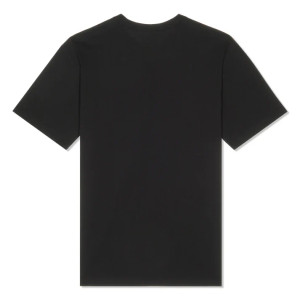 Футболка Nike U NK SB TEE PE SUST FJ1167-010