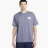 Майка Nike Sb Tee Logo Lebron Dc7817-003 (Оригінал) DC7817-003