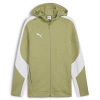Куртка Puma teamEVOSTRIPE Hooded Jacket 659947-40